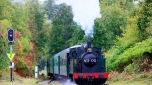 Voyage à toute vapeur de Mariembourg à Treignes cet été !