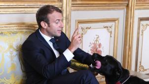 Emmanuel Macron et son chien Nemo © AFP
