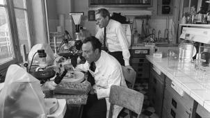 Jacques Monod, spécialiste de la biologie moléculaire, et François Jacob, biologiste, ont reçu en 1965 le Prix Nobel de médecine.