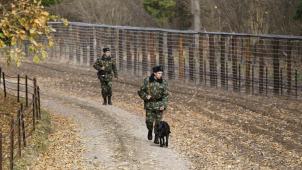 La Pologne a refusé l’aide de Frontex à sa frontière avec la Biélorussie. © Reuters.