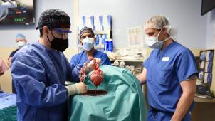 L’intervention chirurgicale réalisée le 7 janvier par l’université du Maryland est une première mondiale: c’est la première fois qu’un cœur animal (modifié génétiquement) survit chez l’humain sans rejet immédiat.