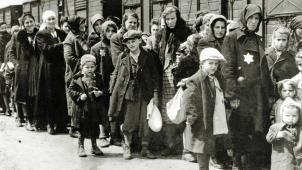 Juin 1944. L’arrivée d’un convoi de juifs hongrois à Auschwitz-Birkenau. Les enfants n’entraient pas dans le camp. Ils étaient immédiatement exterminés.