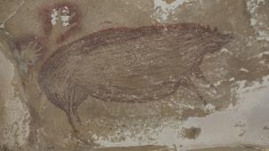 Et le gagnant est... le cochon verruqueux des Célèbes, qui constitue la plus vieille fresque au monde, faisant passer pour des jeunettes quelques célébrités de l’art pariétal européen.