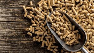 Les granulés de bois sont fabriqués à partir de résidus des scieries, broyés, séchés et compressés. Leur pouvoir calorifique est plus élevé que celui des bûches.