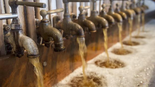 Bières : Depuis 2016, la bière belge est inscrite au patrimoine culturel immatériel de l'UNESCO sous le titre de : La culture de la bière en Belgique. Une bonne raison pour se rafraichir tout en participant à la conservation du patrimoine !