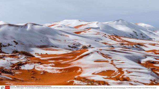 La neige est tombée pour la seconde fois en quarante ans dans le désert du Sahara. Actuellement, environ 40 centimètres de poudreuses recouvrent le sable du désert le plus chaud du monde. Un spectacle merveilleux !