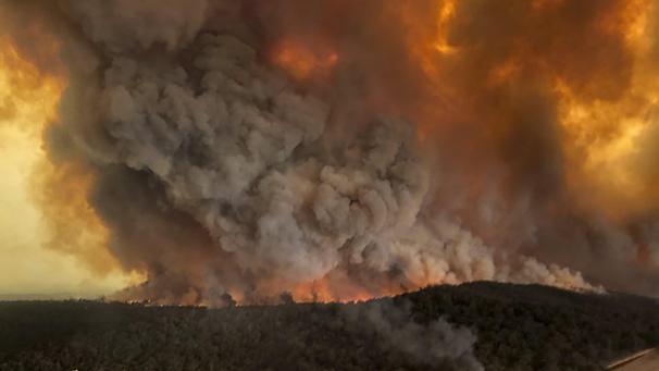 Les incendies font toujours rage en Australie, forçant des milliers de touristes et d’habitants à fuir la côte orientale.