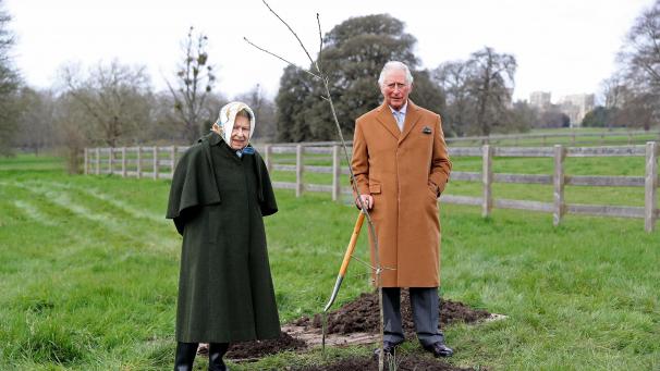 Les Britanniques sont invités à planter des arbres pour célébrer le jubilé de platine de la Souveraine (ici avec Charles), qui fêtera ses 70 ans sur le trône en 2022.