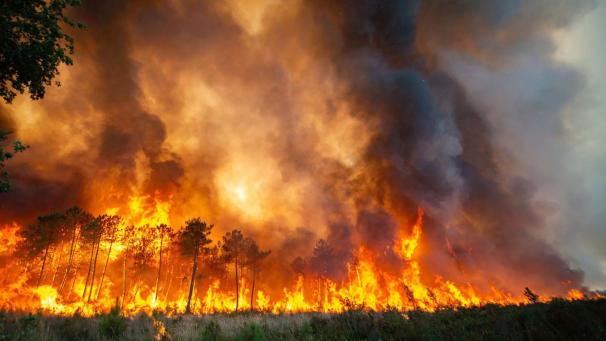 Ce cliché date du 16 juillet 2022. Il est pris par la brigade des pompiers de la région girondine, en France. Il montre l’important feu de forêt qui s’est déclaré près de Landiras et qui a mis des jours à être maîtrisé.