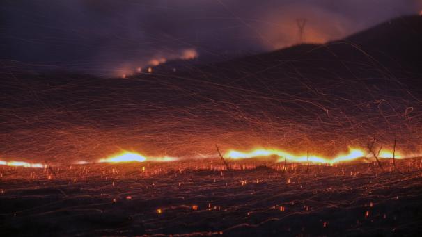 Le vent attise les braises d’un feu de forêt à Castaic, en Californie.