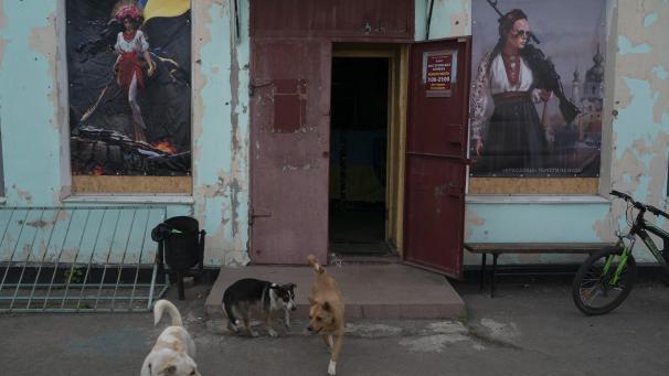 Des chiens se tiennent à l’entrée d’un café dans le village de Velyka Kostromka, en Ukraine.