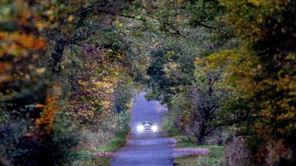 Une voiture traverse une forêt sur une petite route à Wehrheim près de Francfort, en Allemagne.