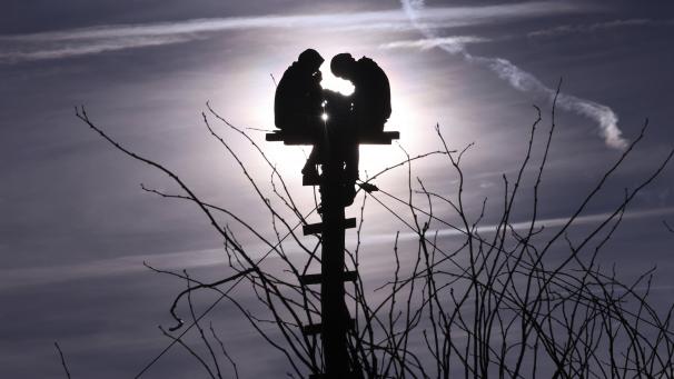 Deux militants de la protection du climat sont assis sur un pylône à la périphérie du village de Erkelenz, en Allemagne.