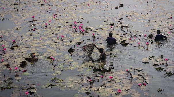 Les tribus Tiwa participent à la pêche communautaire pendant le festival Jonbeel près de Jagiroad, en Inde.