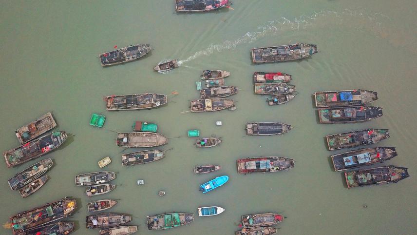 Les pêcheurs chinois nettoient leurs filets de pêche en prévision du moratoire sur la pêche estivale prévu le 1er mai prochain.