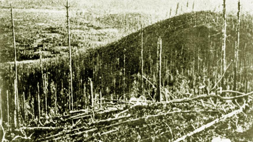 Forêt détruite autour du point d’impact.