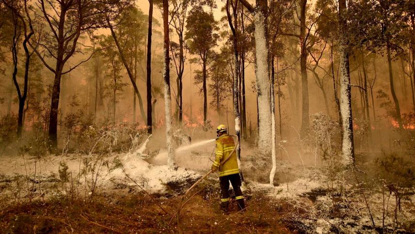 En Australie, des incendies très importants ravagent le pays.