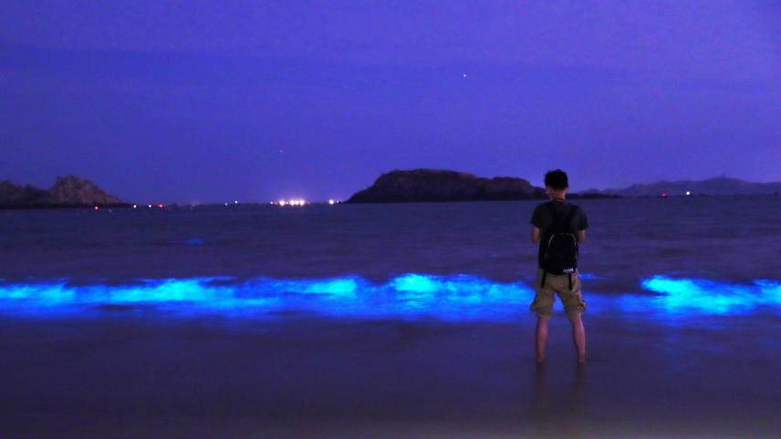 En Chine, la mer a pris une magnifique couleur bleue fluorescente.