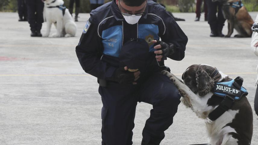 Un chien policier et son maître s’agenouillent en prière lors d’une cérémonie de retraite de l’unité de police K-9, à Quito, en Équateur.