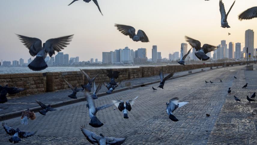Des pigeons volent sur la promenade vide de Tel-Aviv pendant le confinement national de trois semaines instauré en raison de la reprise de la pandémie de coronavirus.