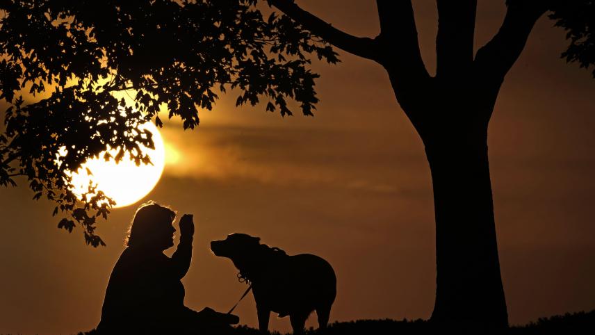 Une femme joue avec son chien au coucher du soleil, dans un parc de Kansas City.