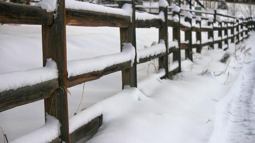 Une clôture enneigée, parfait terrain de jeu pour une bataille de boules de neige
!