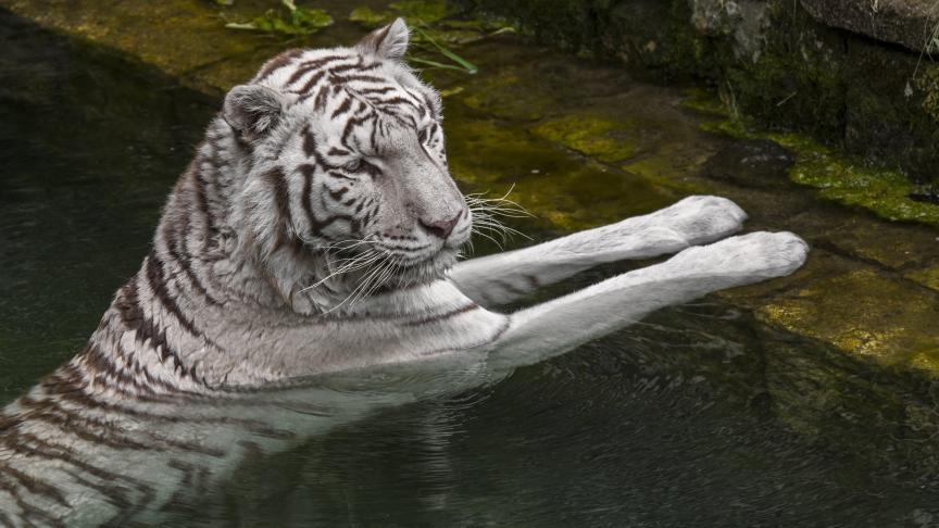 belgaimage-164867215-full