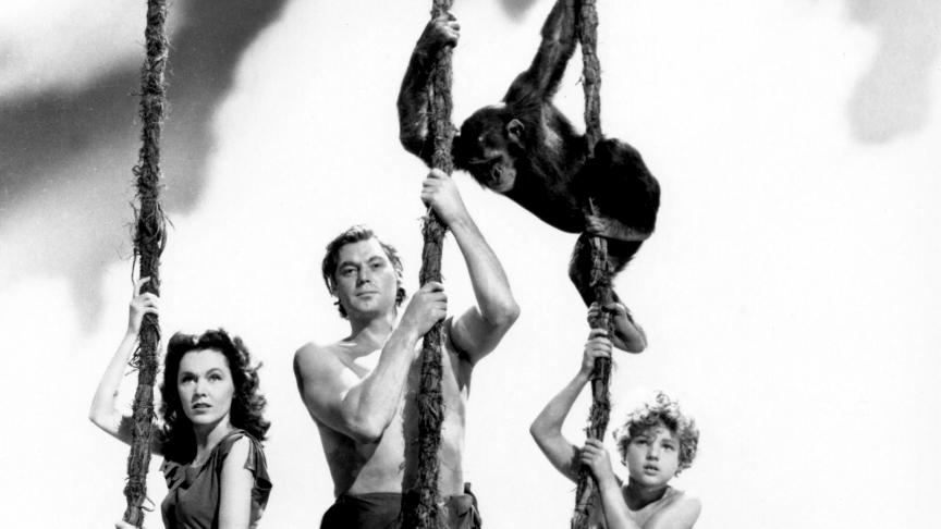 Dans «Tarzan trouve un fils» (1939) de Richard Thorpe, Cheetah avec Johnny «Tarzan» Weissmuller, Maureen O'Hara et le jeune John Sheffield.