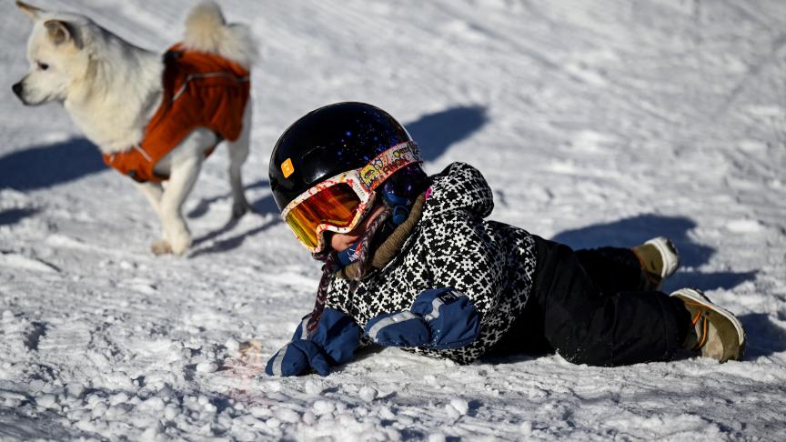 BELGAIMAGE-184710117