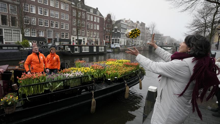 Une femme attrape un bouquet de tulipes à Amsterdam, aux Pays-Bas.