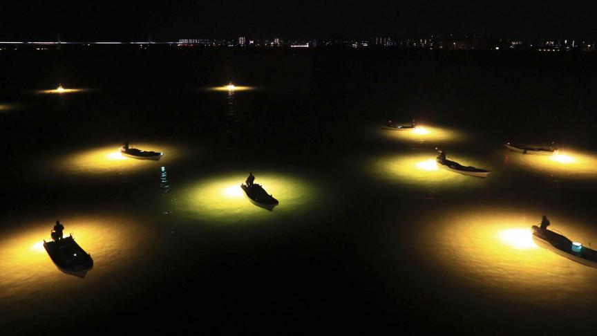 Des pêcheurs utilisent des lumières vertes pour pêcher des jeunes anguilles au Japon.