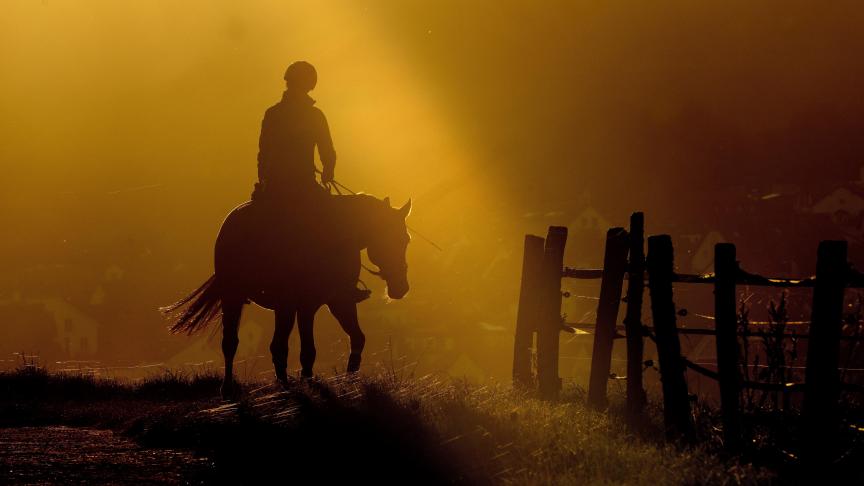 Une femme monte son cheval sur une petite route à Neu-Anspach près de Francfort.
