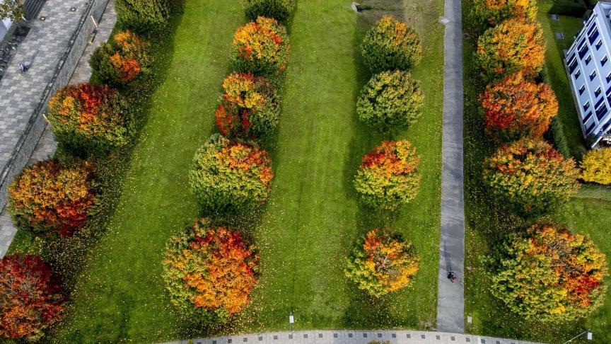 Un petit parc dans un quartier résidentiel de Francfort, en Allemagne.