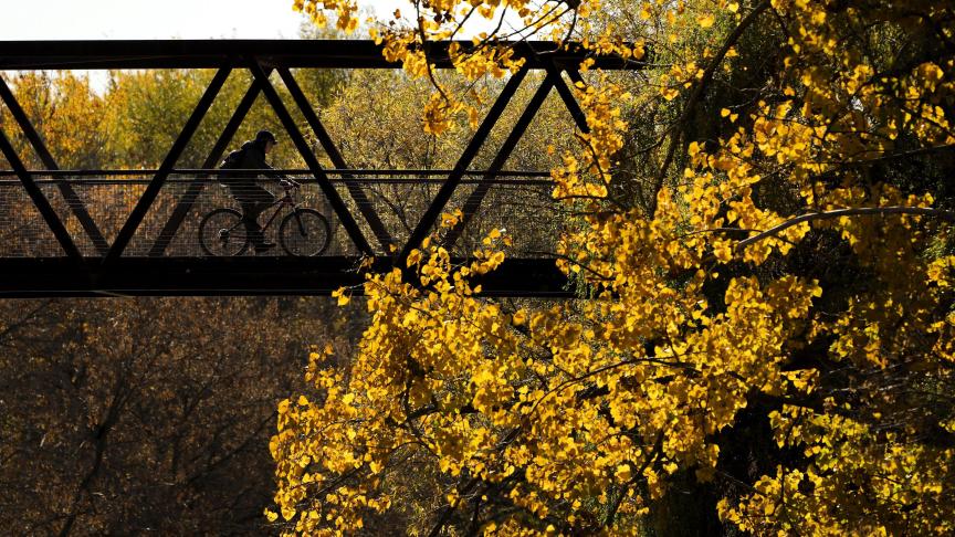 Une personne fait du vélo sur un pont parmi les couleurs d'automne à Mississauga, en Ontario.