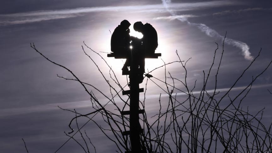 Deux militants de la protection du climat sont assis sur un pylône à la périphérie du village de Erkelenz, en Allemagne.